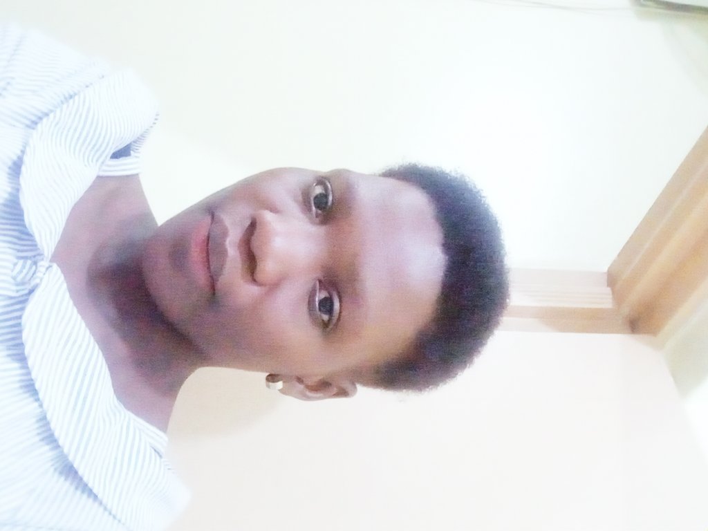 AALE MAJERI